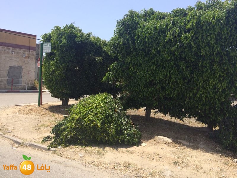 kenan 7ashouna 0503 (12).JPG